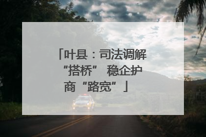叶县：司法调解“搭桥” 稳企护商“路宽”