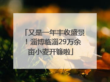 又是一年丰收盛景！淄博临淄29万余亩小麦开镰啦