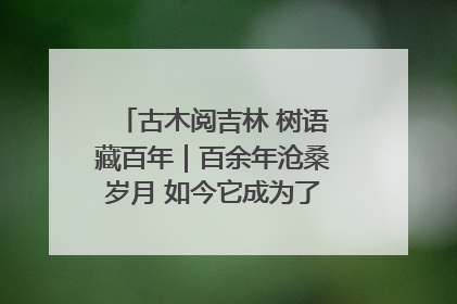 古木阅吉林 树语藏百年｜百余年沧桑岁月 如今它成为了“镇园之宝”
