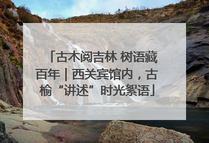 古木阅吉林 树语藏百年｜西关宾馆内，古榆“讲述”时光絮语