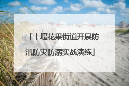 十堰花果街道开展防汛防灾防溺实战演练