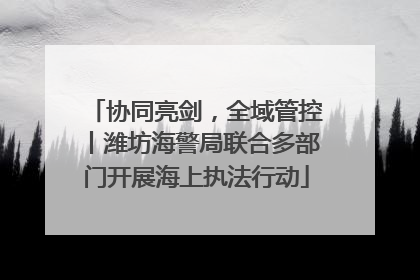 协同亮剑，全域管控丨潍坊海警局联合多部门开展海上执法行动