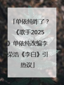 单依纯咋了？《歌手2025》单依纯改编李荣浩《李白》引热议