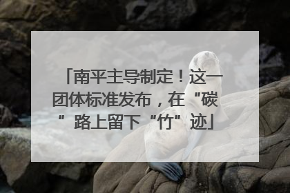 南平主导制定！这一团体标准发布，在“碳”路上留下“竹”迹