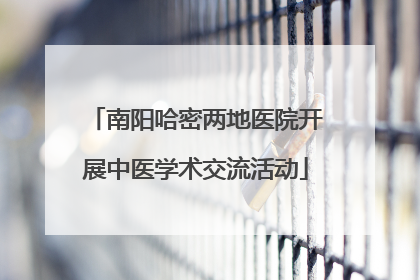 南阳哈密两地医院开展中医学术交流活动