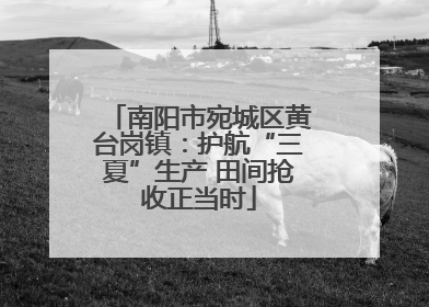 南阳市宛城区黄台岗镇：护航“三夏”生产 田间抢收正当时
