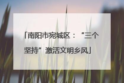 南阳市宛城区：“三个坚持”激活文明乡风