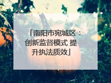 南阳市宛城区：创新监督模式 提升执法质效