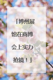 博州展馆在商博会上实力抢镜！
