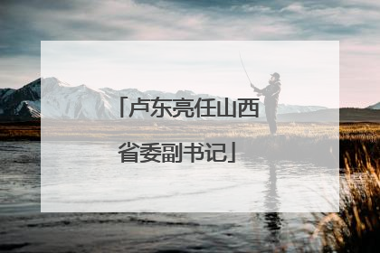 卢东亮任山西省委副书记