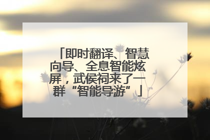 即时翻译、智慧向导、全息智能炫屏，武侯祠来了一群“智能导游”