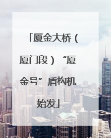 厦金大桥（厦门段）“厦金号”盾构机始发