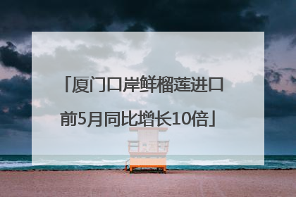 厦门口岸鲜榴莲进口 前5月同比增长10倍