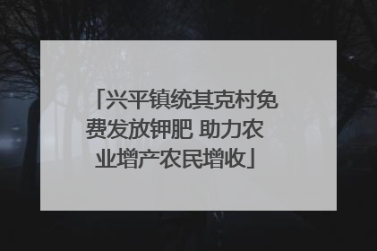兴平镇统其克村免费发放钾肥 助力农业增产农民增收