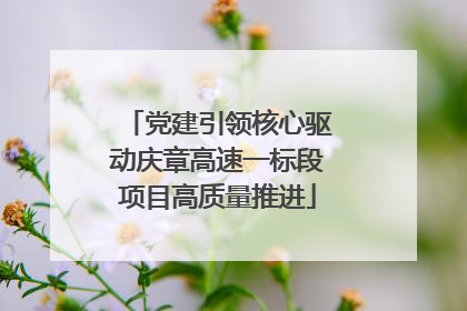 党建引领核心驱动庆章高速一标段项目高质量推进