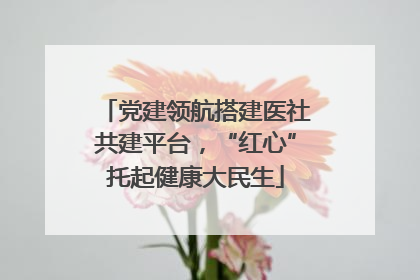 党建领航搭建医社共建平台，“红心”托起健康大民生