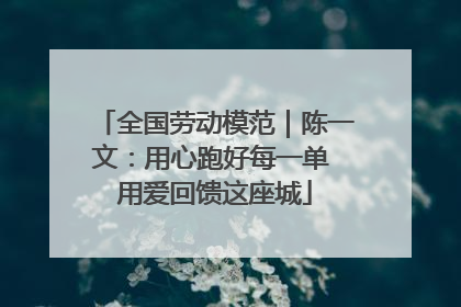 全国劳动模范｜陈一文：用心跑好每一单 用爱回馈这座城