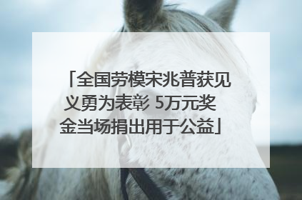 全国劳模宋兆普获见义勇为表彰 5万元奖金当场捐出用于公益