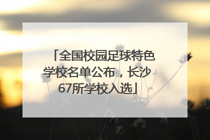全国校园足球特色学校名单公布，长沙67所学校入选