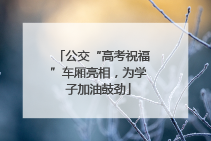 公交“高考祝福”车厢亮相，为学子加油鼓劲