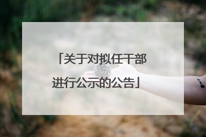 关于对拟任干部进行公示的公告