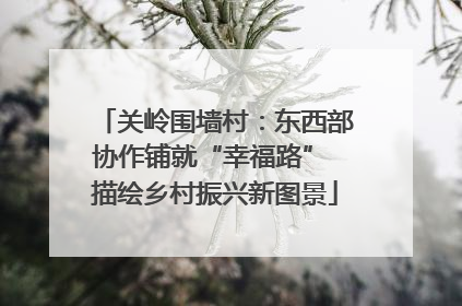 关岭围墙村：东西部协作铺就“幸福路” 描绘乡村振兴新图景