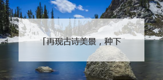 再现古诗美景，种下致富希望，西湖景区村民自发茶园植树