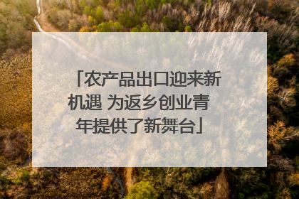 农产品出口迎来新机遇 为返乡创业青年提供了新舞台
