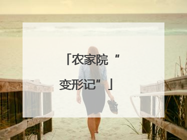 农家院“变形记”