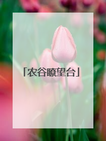 农谷瞭望台