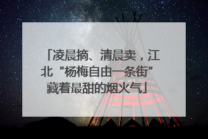凌晨摘、清晨卖，江北“杨梅自由一条街”藏着最甜的烟火气