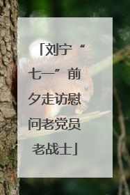 刘宁“七一”前夕走访慰问老党员老战士