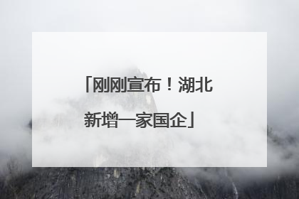 刚刚宣布！湖北新增一家国企