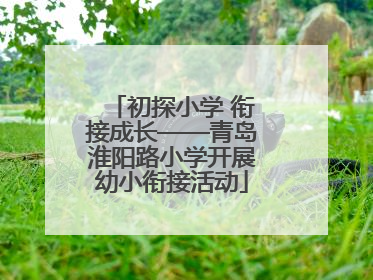 初探小学 衔接成长——青岛淮阳路小学开展幼小衔接活动