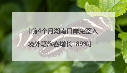 前4个月湖南口岸免签入境外籍旅客增长189%