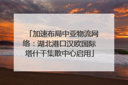 加速布局中亚物流网络：湖北港口汉欧国际塔什干集散中心启用
