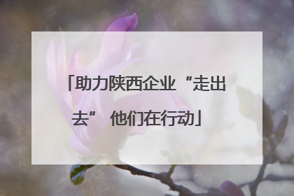 助力陕西企业“走出去” 他们在行动