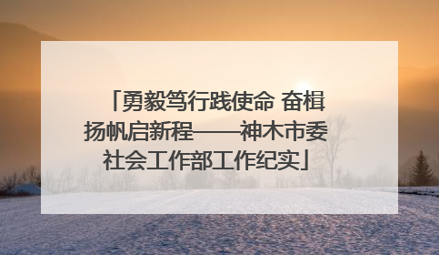 勇毅笃行践使命 奋楫扬帆启新程——神木市委社会工作部工作纪实