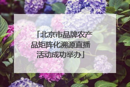 北京市品牌农产品矩阵化溯源直播活动成功举办