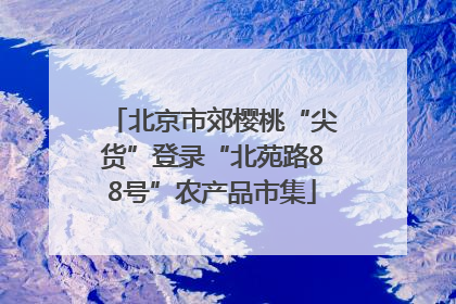 北京市郊樱桃“尖货”登录“北苑路88号”农产品市集
