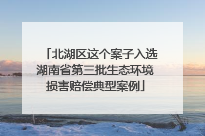 北湖区这个案子入选湖南省第三批生态环境损害赔偿典型案例