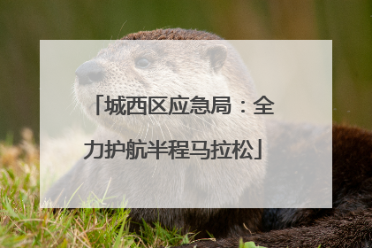 城西区应急局：全力护航半程马拉松