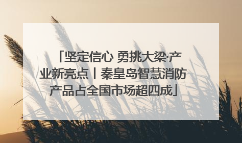 坚定信心 勇挑大梁·产业新亮点丨秦皇岛智慧消防产品占全国市场超四成