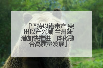 坚持以港带产 突出以产兴城 兰州陆港加快推进一体化融合高质量发展