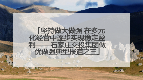 坚持做大做强 在多元化经营中逐步实现稳定盈利——石家庄交投集团做优做强典型报道之三
