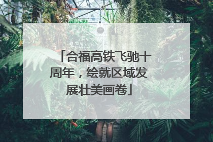 合福高铁飞驰十周年，绘就区域发展壮美画卷