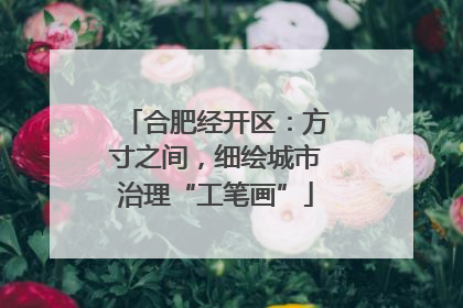 合肥经开区：方寸之间，细绘城市治理“工笔画”