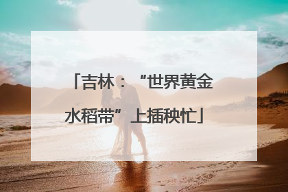 吉林：“世界黄金水稻带”上插秧忙