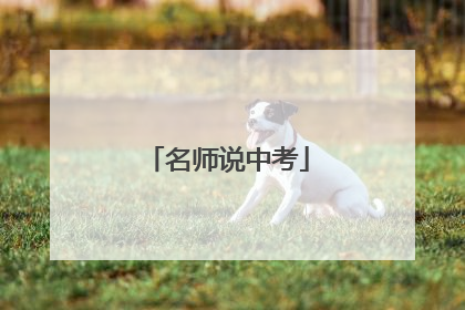 名师说中考