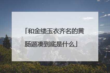 和金缕玉衣齐名的黄肠题凑到底是什么